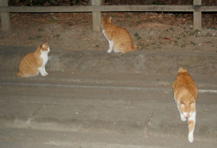 20080101park05.JPG