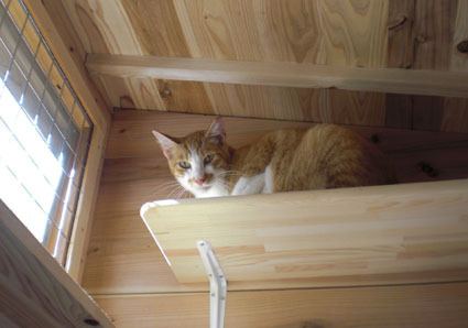 20080920park10.JPG