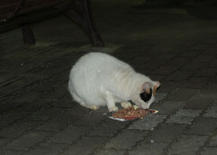 20081017park04.JPG
