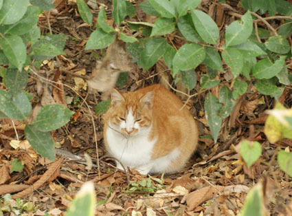 20081124park17.JPG