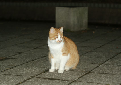 20081210park04.JPG