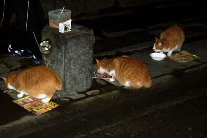 20081215park01.JPG