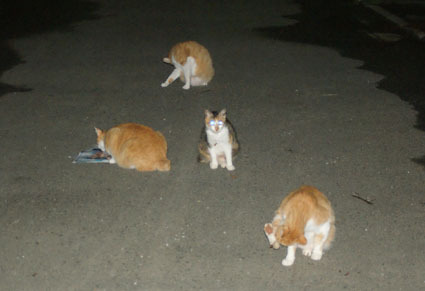 20090606park02.JPG