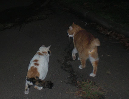 20091025park02.JPG