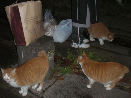 20091101park09.JPG