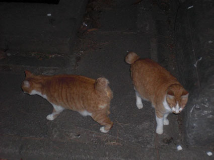 20091107park06.JPG