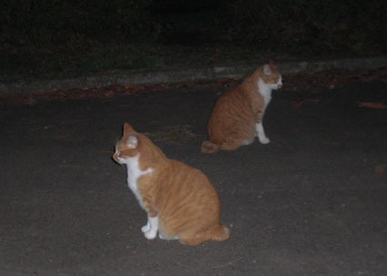 20091109park04.JPG