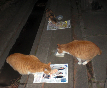20100313park04.JPG
