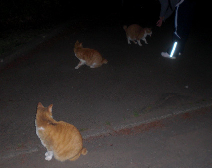 20100522park01.JPG