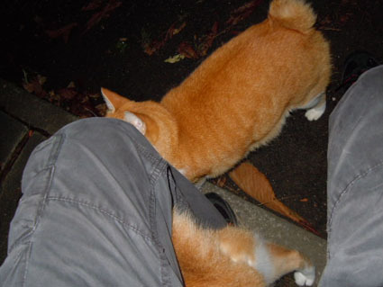 20111010park15.JPG