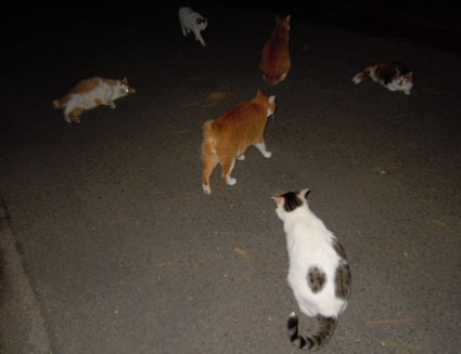 20111015park11.JPG