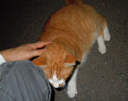 20111015park12.JPG
