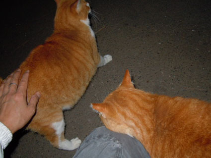 20111123park07.JPG