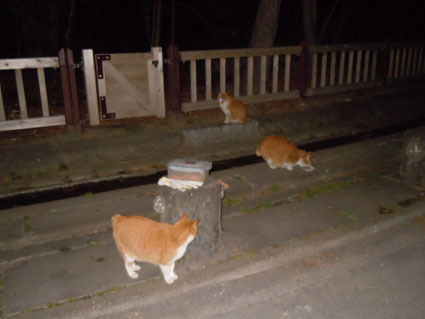 20120212park15.JPG