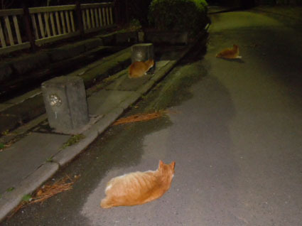 20120225park10.JPG