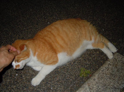20120527park19.JPG