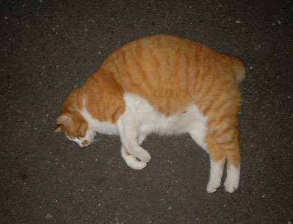 20120603park05.JPG