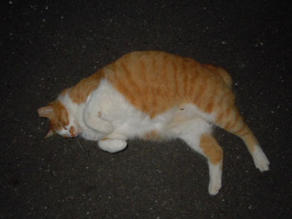 20120603park06.JPG