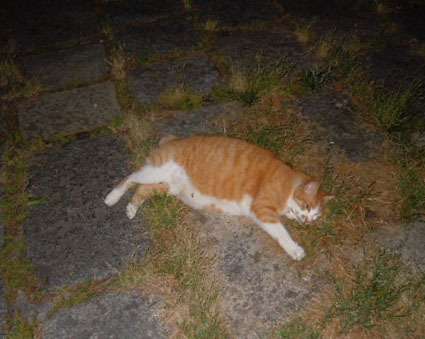 20120603park10.JPG