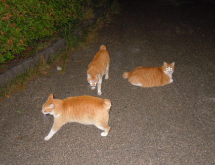 20120603park13.JPG
