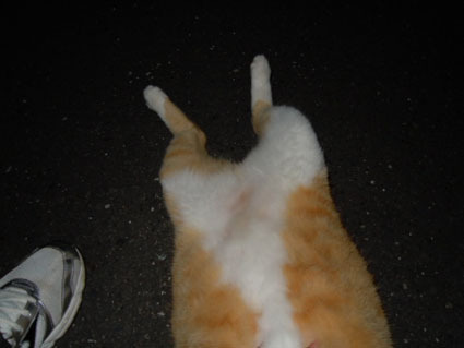 20120622park10.JPG