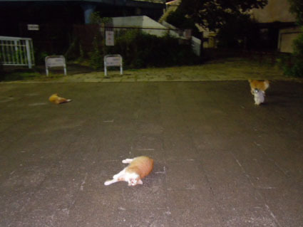 20120622park18.JPG