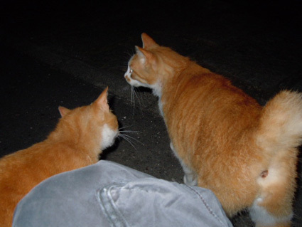 20120630park15.JPG