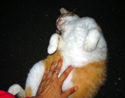 20120728park07.JPG