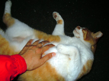 20120728park08.JPG