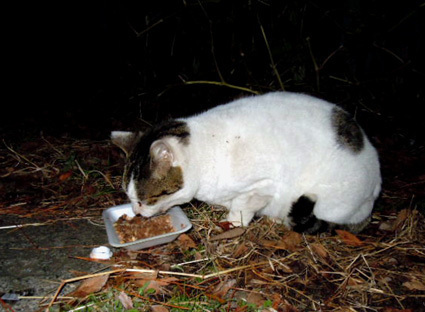 20121231park13.JPG