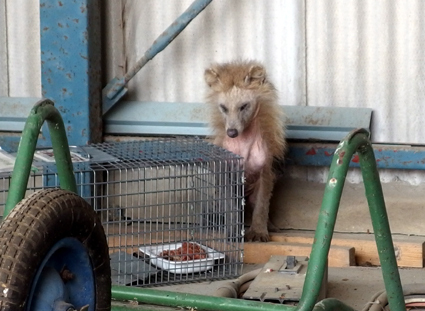 20130320_fukushima18.JPG