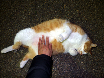 20130329park12.JPG