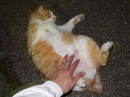 20130519park14.jpg