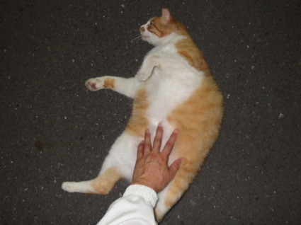 20130710park14.jpg