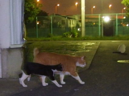20130907park09.jpg