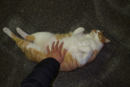 20140125park07.jpg