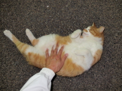 20140510park07.jpg
