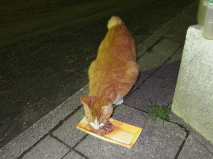 20140712park06.jpg