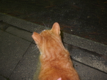 20140712park07.jpg