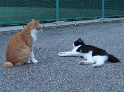 20140712park17.jpg