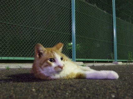 20140725park17.jpg
