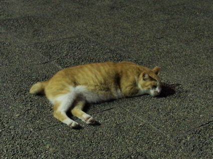 20140808park16.jpg