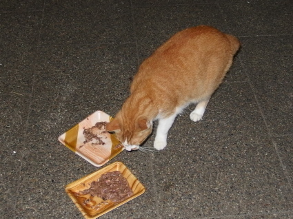 20140914park13.jpg