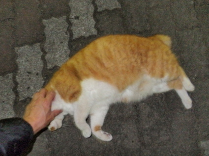 20150328park21.jpg