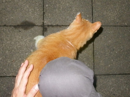 20150829park16.jpg