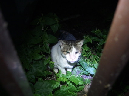 20151011park08.jpg