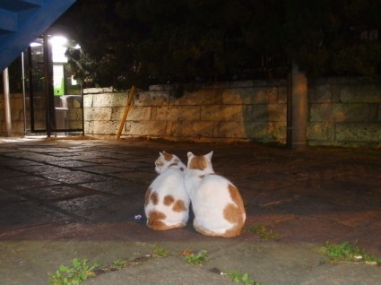 20151205park11.jpg