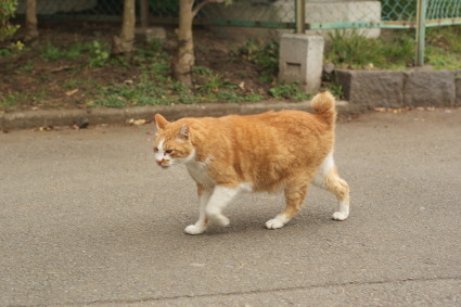 20160206park10.jpg