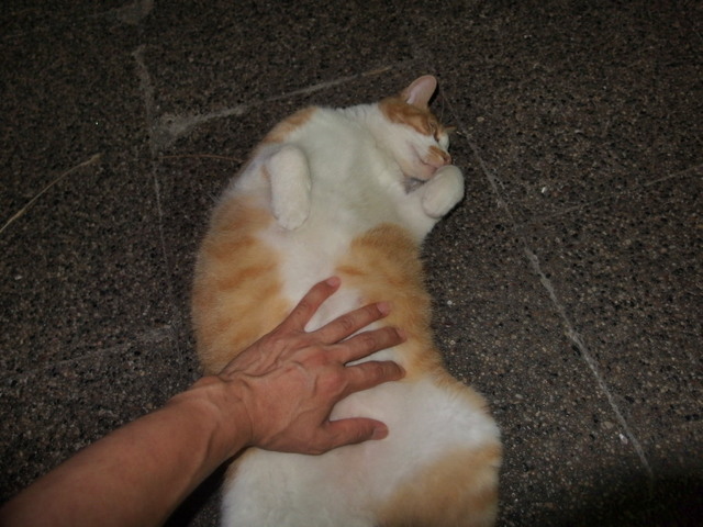 20160813PARK01.jpg