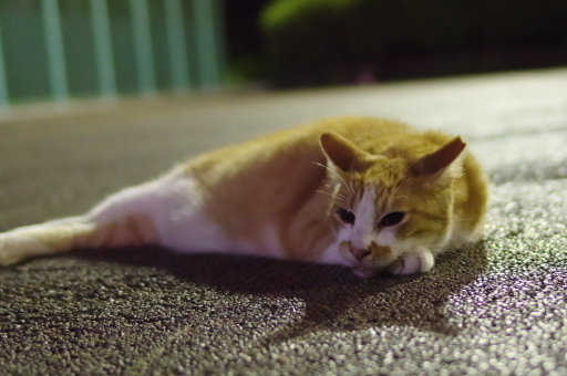 20180909park03.jpg